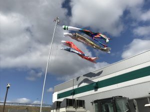 IMG_0584