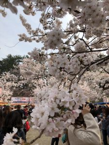 IMG_0607[1]