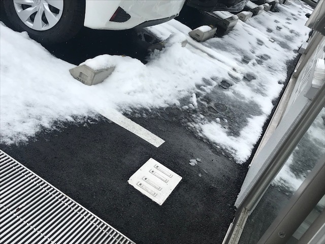 image1.jpegp