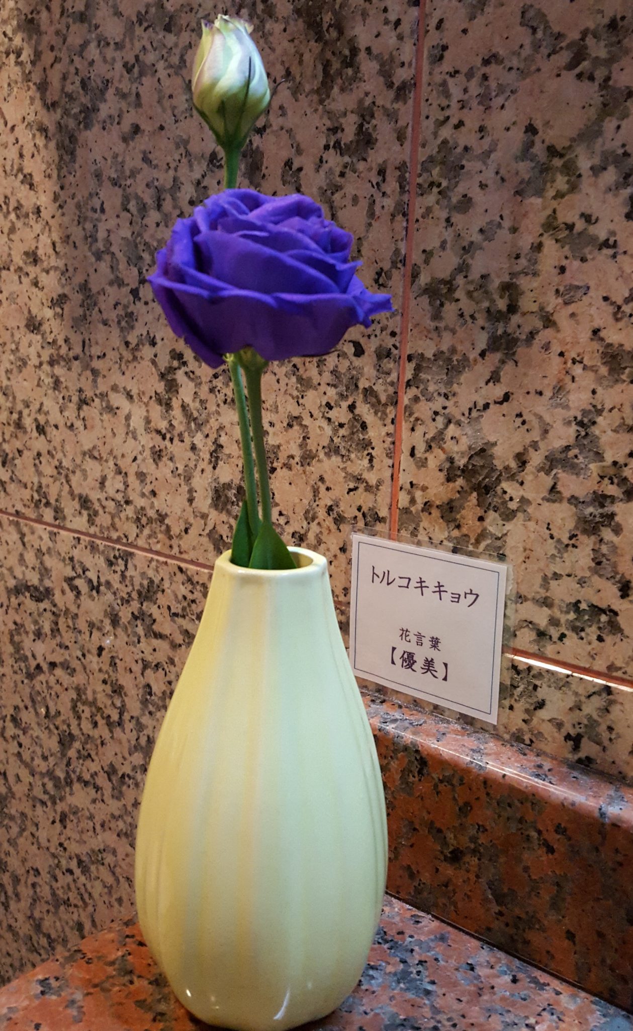 20180612_154756