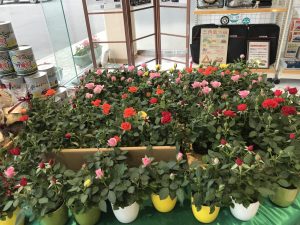 78C85324-D1DB-48CB-A276-C42C7D472A72