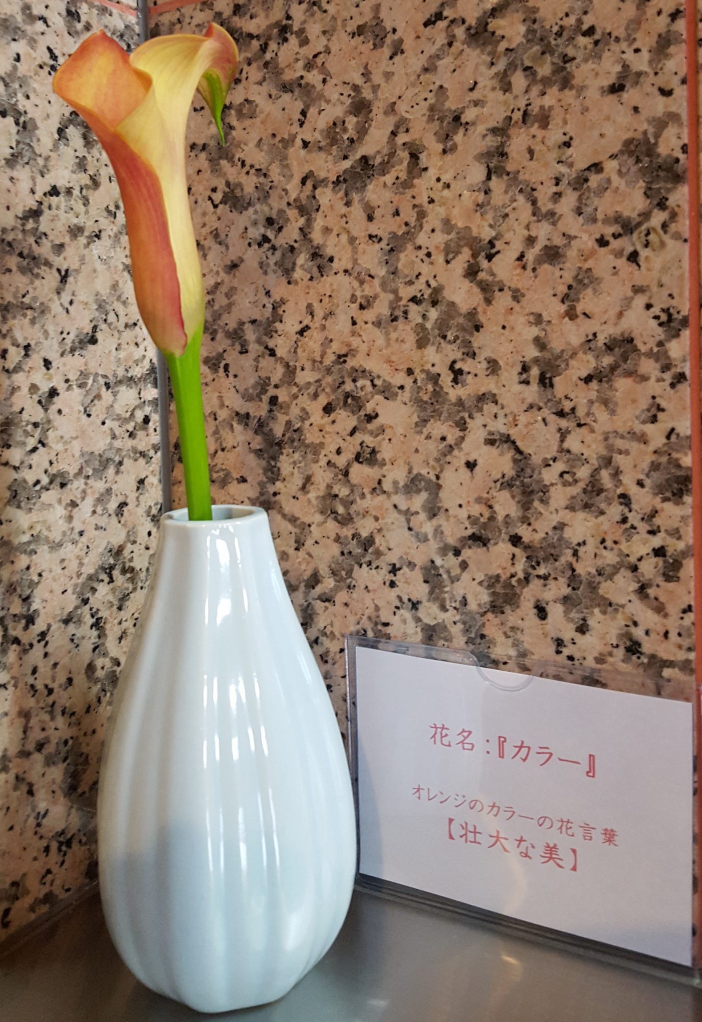 20180717_161348