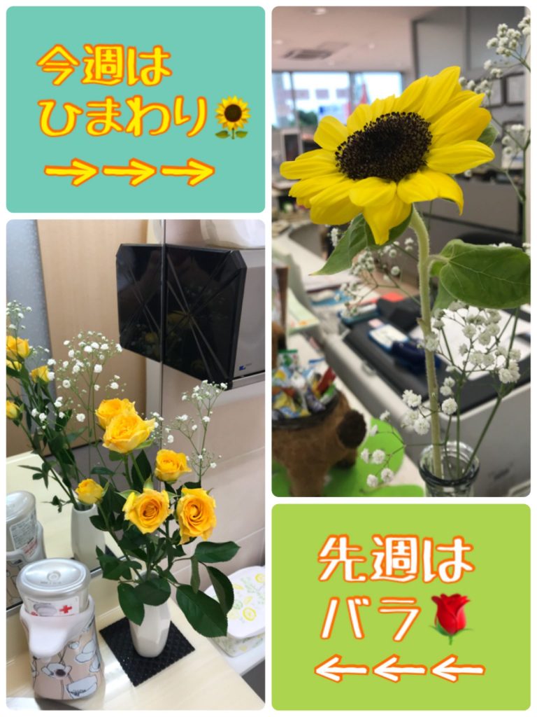 7639566C-1CE4-40DC-8639-01DBBB6F110C