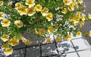 20180803_125920