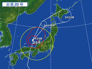 310261-AUT-020