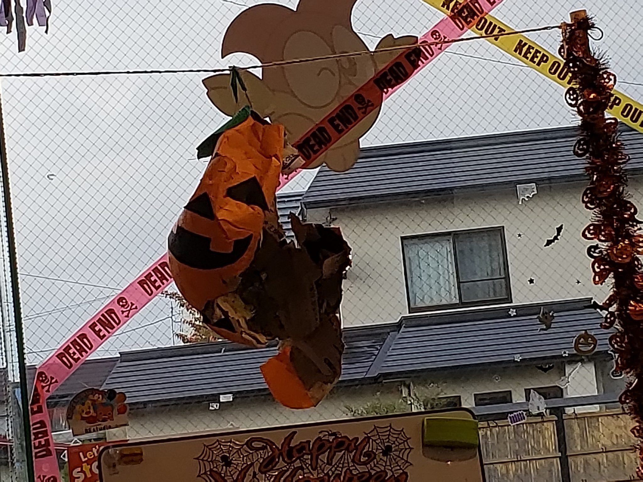 20181027_145342