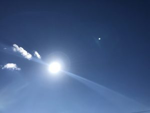 IMG_0831[1]