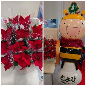 CollageMaker_20181207_092948363