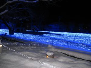 IMG_0002