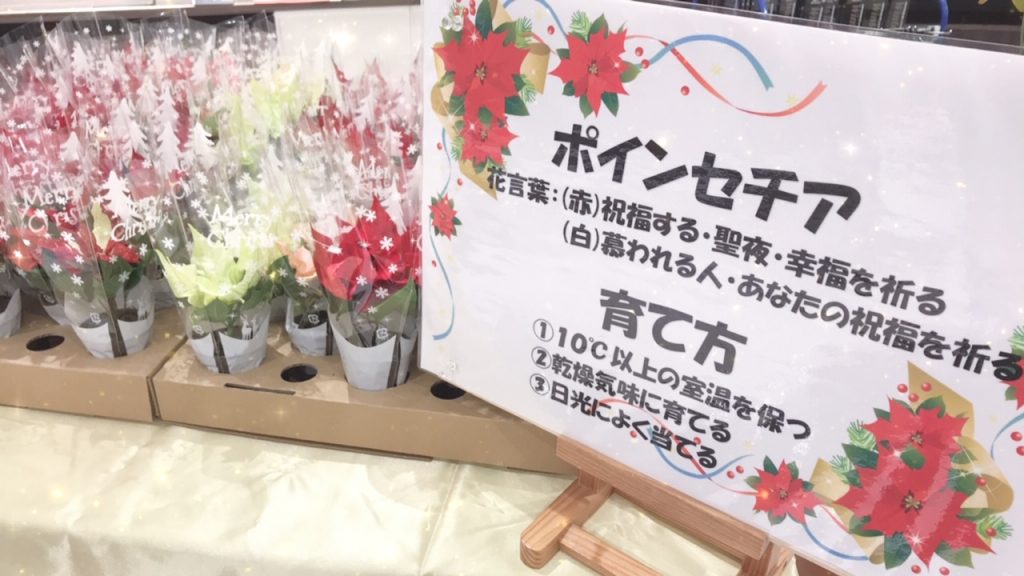 image1.jpegsfg