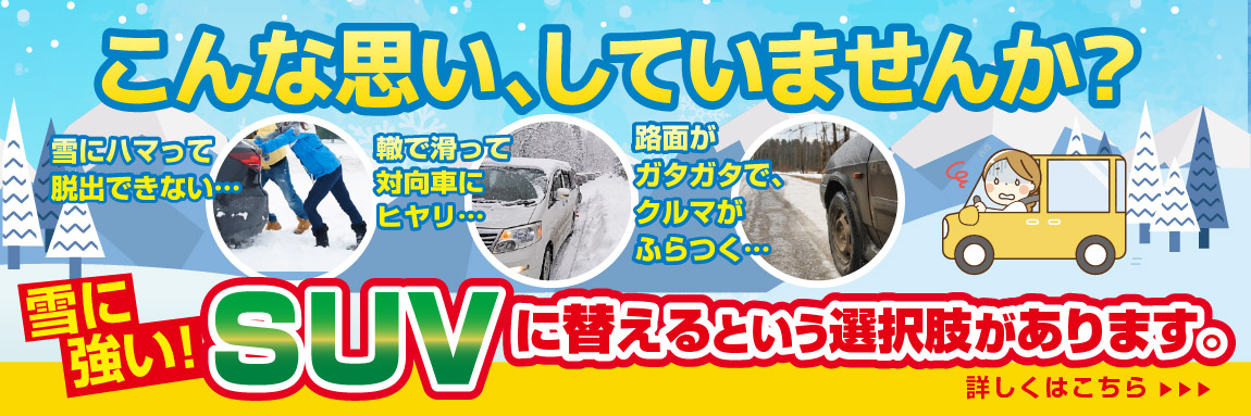 2602_bnr_SUV_Appeal_slide